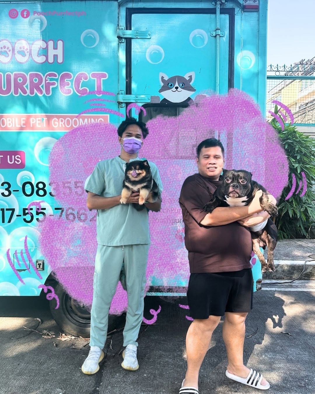 Behind the scenes — mobile grooming preparation