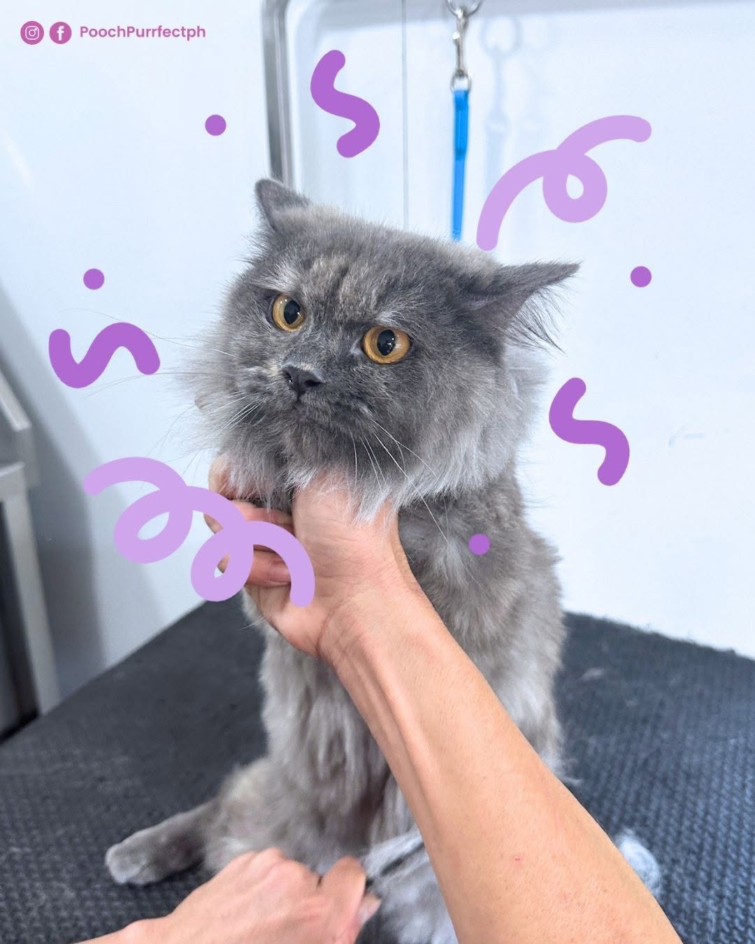 Ear cleaning service