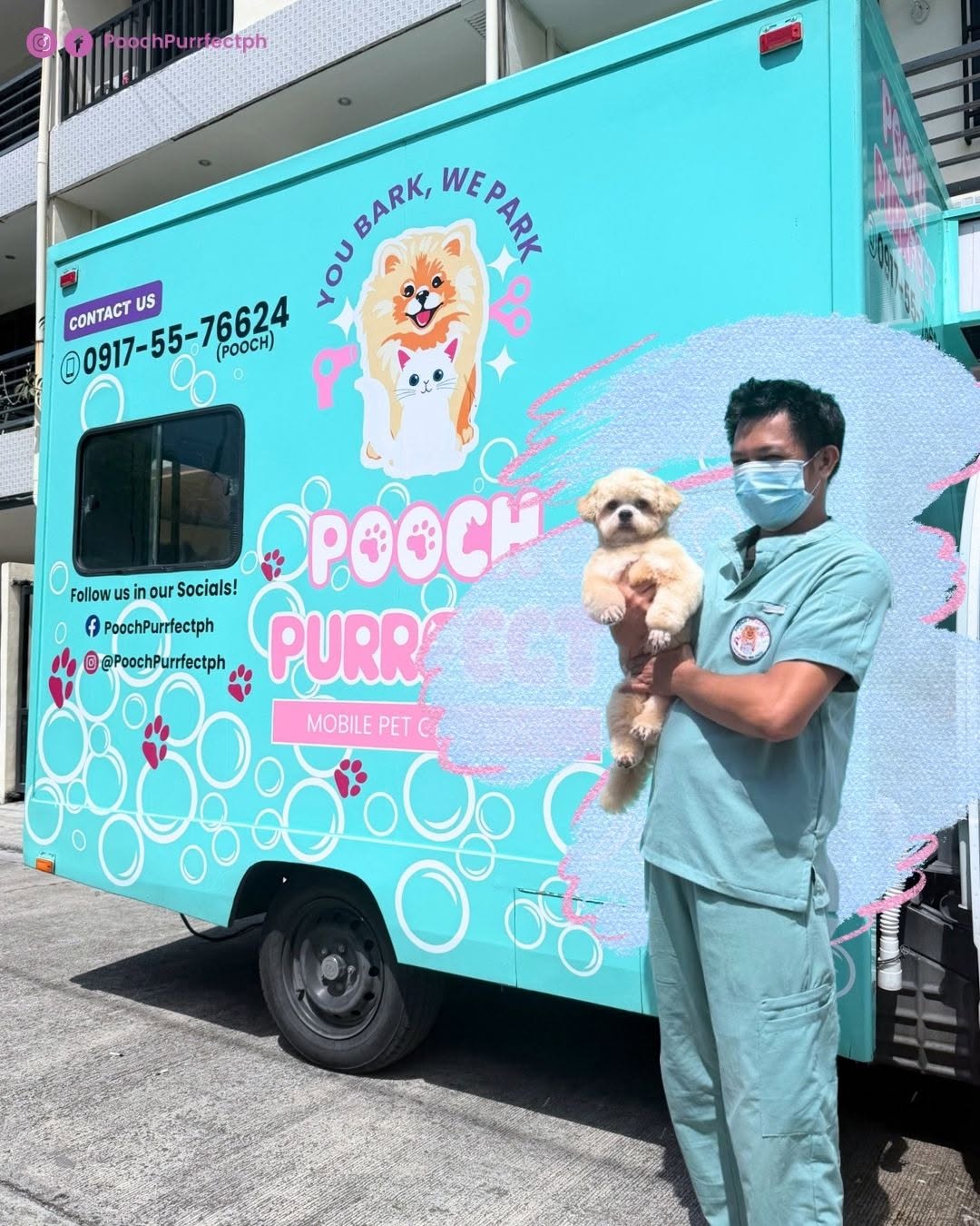 Professional mobile pet grooming